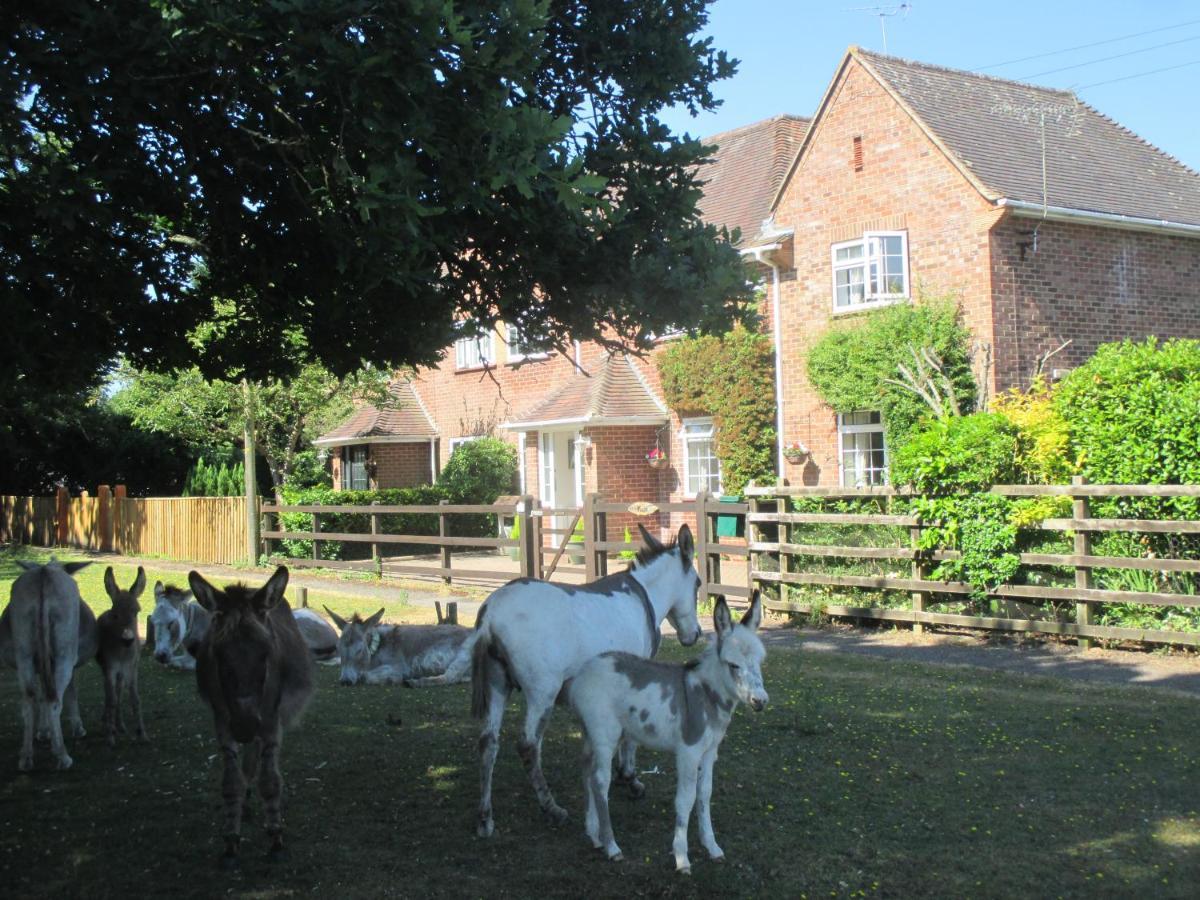 Villa Hops Main House, Brockenhurst, New Forest Extérieur photo