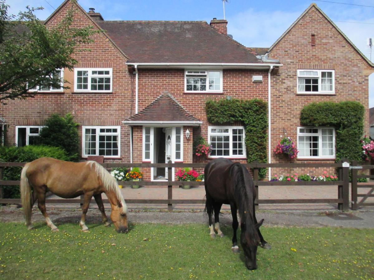 Villa Hops Main House, Brockenhurst, New Forest Extérieur photo